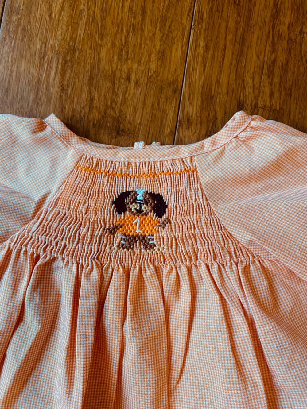 Smocked Orange Gingham Toddler Dress with Dog Embroidery